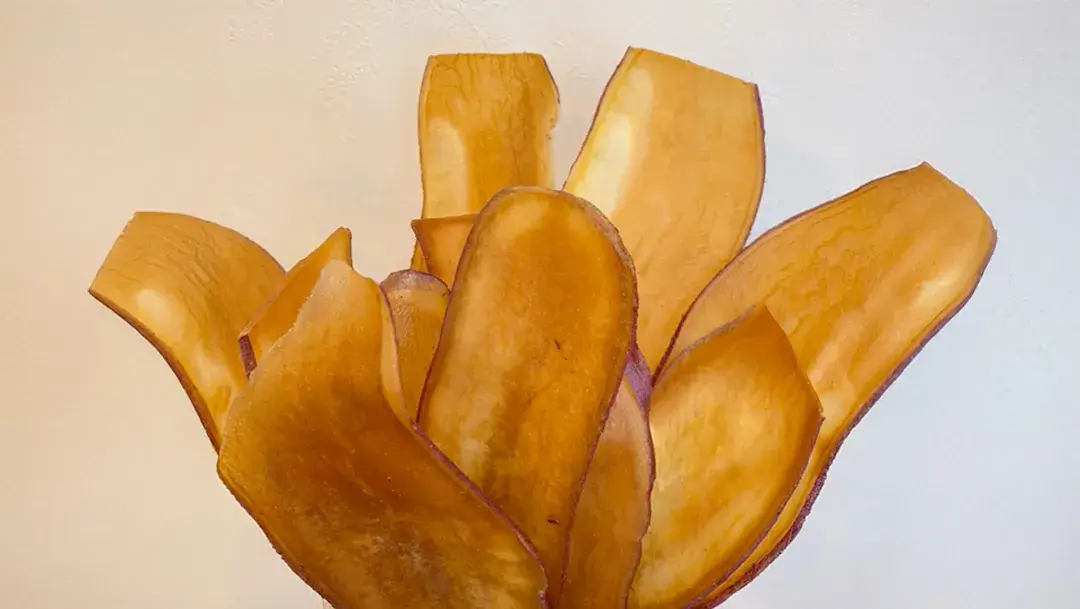 さつまチップス